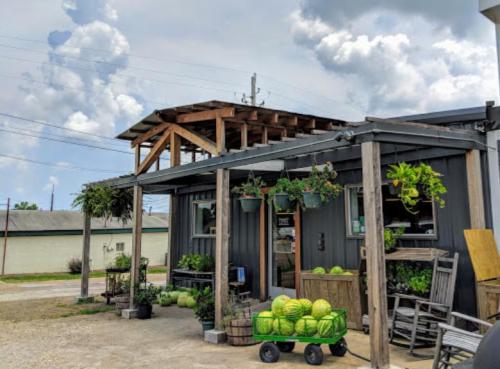 A small market with a wooden porch, potted plants, and watermelons displayed outside under a cloudy sky.