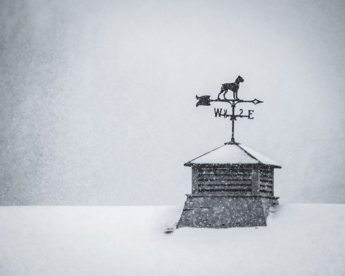 A weather vane featuring a dog and a cat atop a snowy roof, with snowflakes falling in a gray, overcast sky.