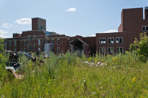 Abandoned brick building surrounded by overgrown grass and debris under a clear blue sky.