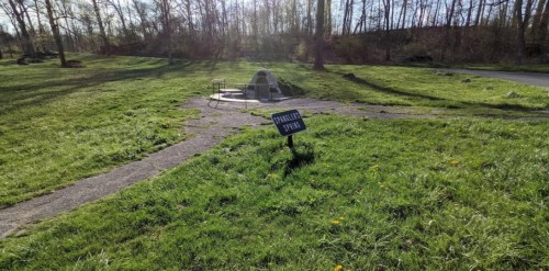 A grassy area with a stone spring and a sign labeled "Spigott Spring" in a wooded park setting.