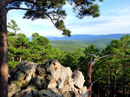 A scenic view of lush green mountains and trees, with rocky outcrops in the foreground under a clear blue sky.