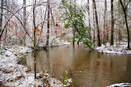 A serene river flows through a snowy forest, with trees partially covered in ice and a hint of autumn leaves.