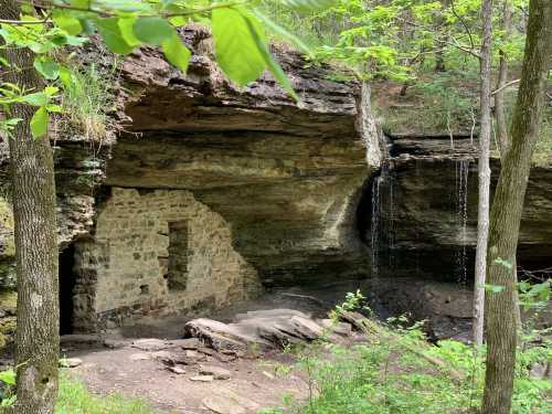 A rocky cliff with a small waterfall, surrounded by trees and greenery, featuring a stone wall at the base.