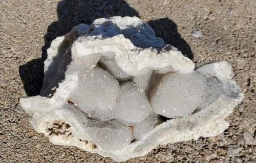 A rough, white rock with a hollow center containing several round, grayish-white mineral formations.