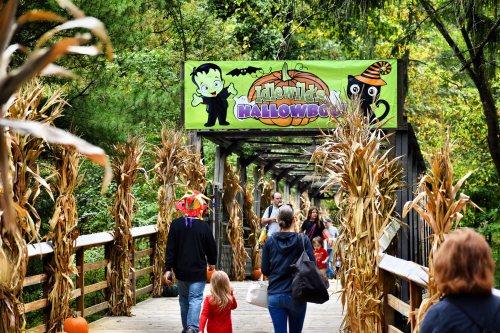A festive bridge decorated with corn stalks and a Halloween banner, with families walking and enjoying the autumn atmosphere.