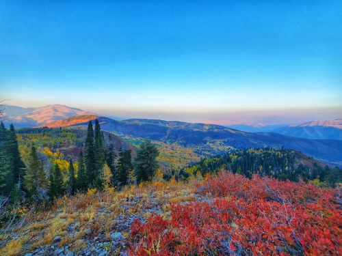 Vibrant autumn landscape with colorful foliage, rolling hills, and a clear blue sky in the background.