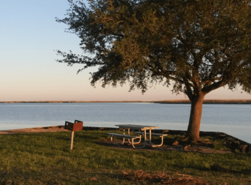 A serene lakeside scene featuring a picnic table under a tree, with calm water and a clear sky in the background.
