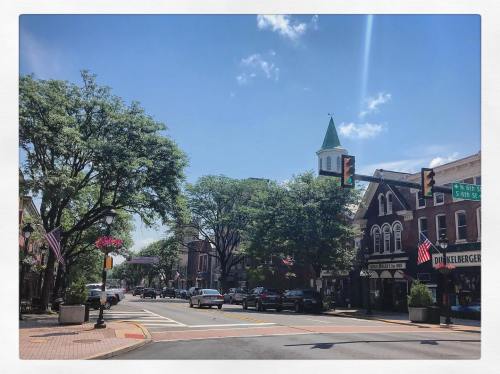 A sunny street scene with trees, flags, and historic buildings under a blue sky.
