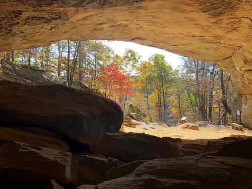 View from inside a cave, showcasing colorful autumn trees and a rocky landscape outside.