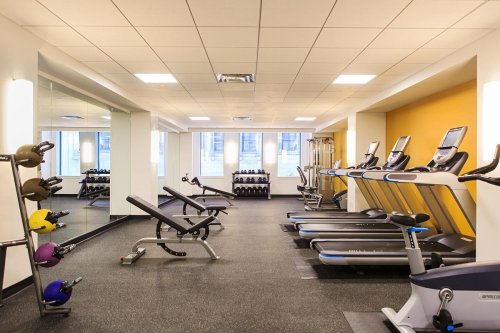 A modern gym interior featuring treadmills, weights, and exercise benches in a bright, spacious environment.