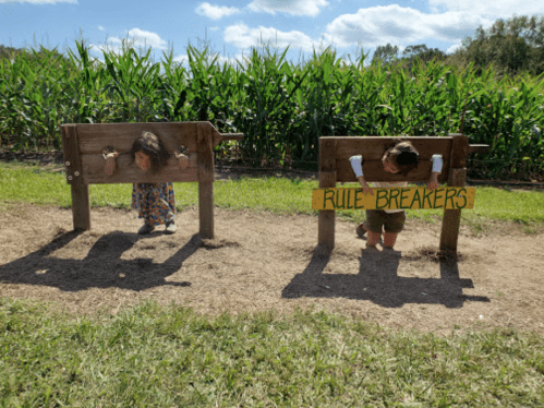 Two children playfully stuck in wooden stocks, with a sign reading "Rule Breakers" in a cornfield setting.