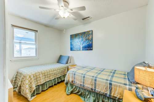 Cozy bedroom with two twin beds, a ceiling fan, and a tree painting on the wall. Natural light from a window.