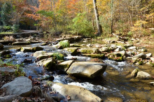 A serene stream flows over rocks, surrounded by vibrant autumn foliage in a peaceful forest setting.