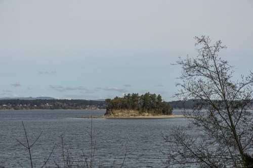 A small island with trees surrounded by calm water, under a cloudy sky.