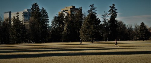 Two people jog across a grassy park with tall trees and buildings in the background under a clear sky.