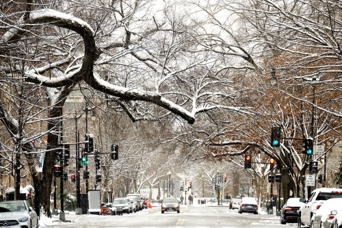 Snow-covered street lined with bare trees, traffic lights, and parked cars in a winter scene.