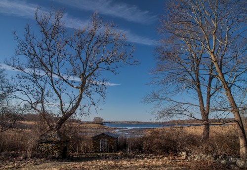 A serene landscape featuring two bare trees, a small shed, and a calm water body under a clear blue sky.