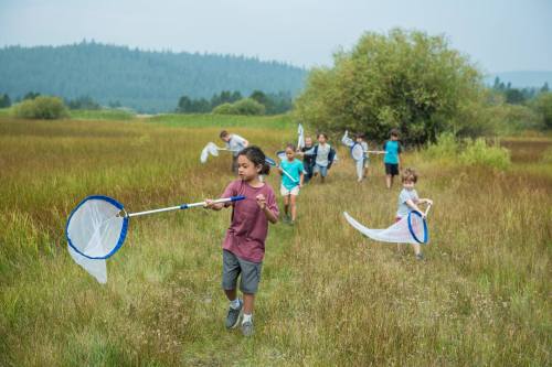 A group of children walking through a grassy field, each holding a butterfly net.