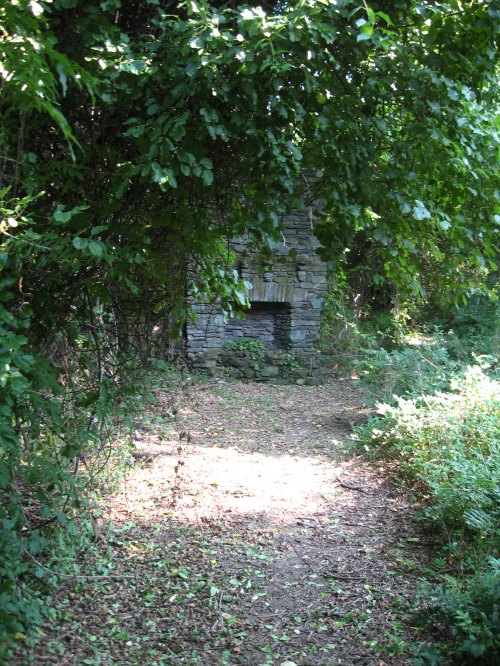 A stone fireplace partially hidden by lush greenery along a narrow, sunlit path in a wooded area.