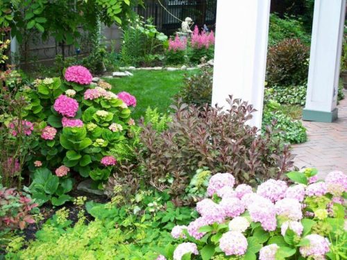 A vibrant garden filled with pink hydrangeas, lush greenery, and a serene lawn in the background.