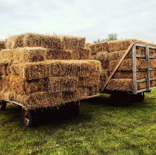 A trailer loaded with stacked hay bales on a grassy field under a cloudy sky.