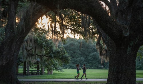 Two people jog under large trees draped with Spanish moss in a park at sunset.