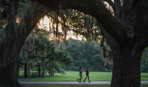 Two people jog under large trees draped with Spanish moss in a park at sunset.