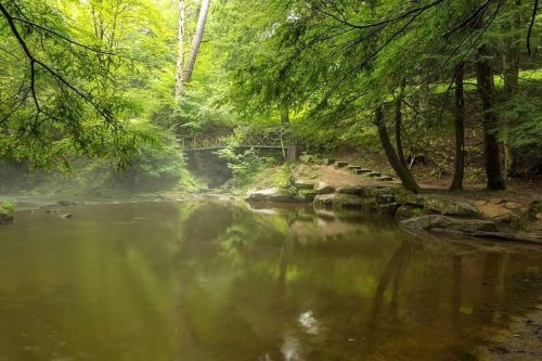 A serene forest scene with a calm river, lush green trees, and a wooden bridge in the background.