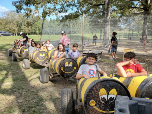 A group of children and adults enjoy a ride on a train made of yellow barrels in a sunny outdoor setting.