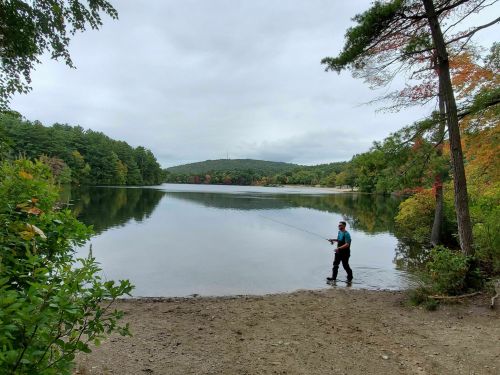 A person fishing by a calm lake surrounded by trees with autumn foliage under a cloudy sky.
