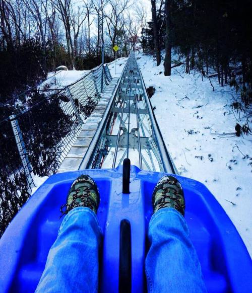 View from a sled on a snowy track, with feet visible and trees lining the sides.