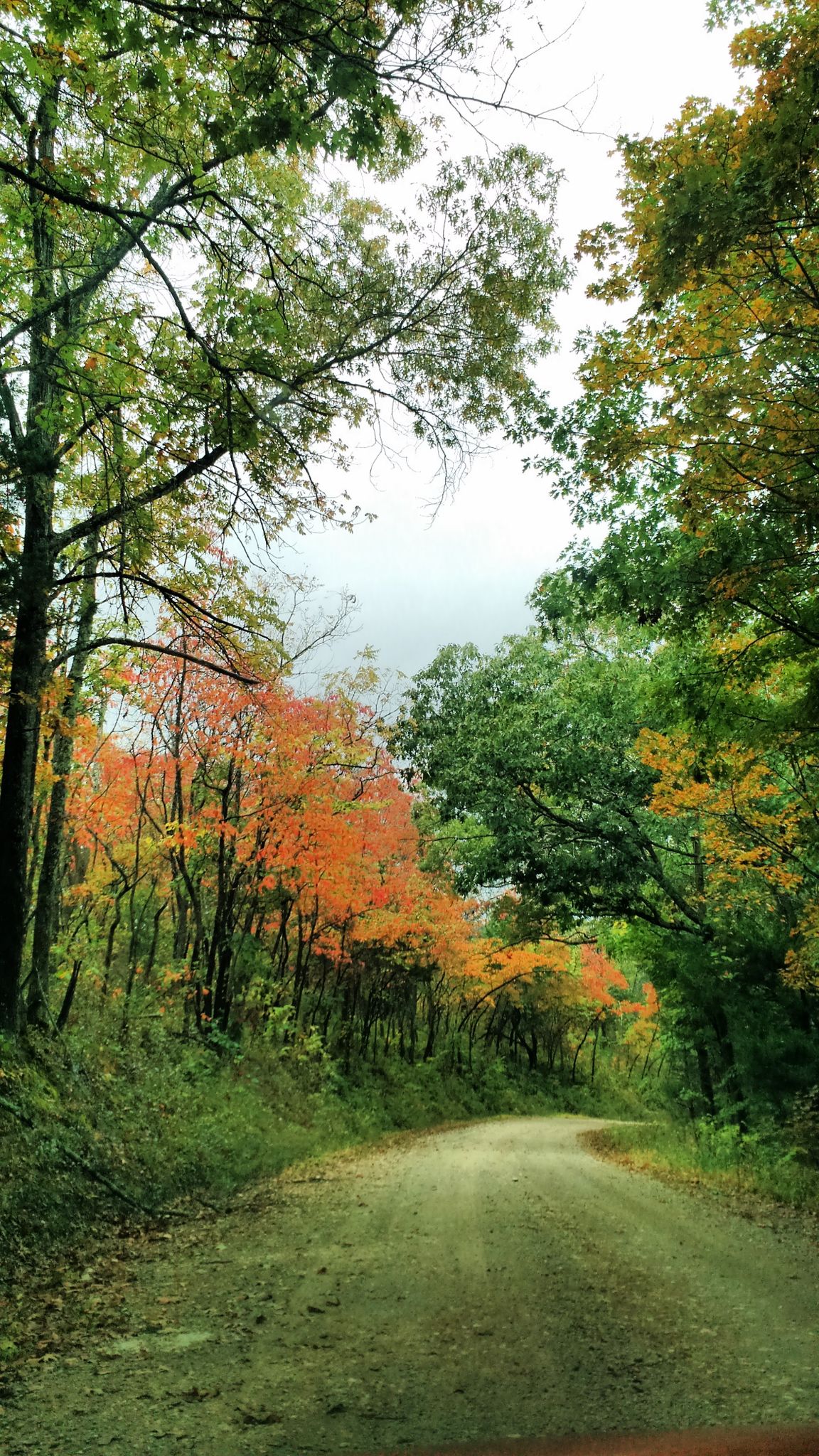 Hop In Your Car And Take Glade Top Trail For An Incredible 23-Mile ...