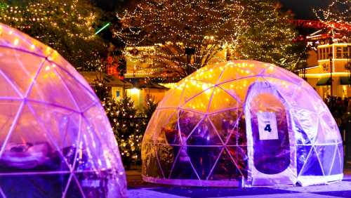 Colorful illuminated igloos surrounded by festive lights in a winter setting.