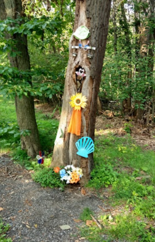 A decorated tree trunk in a forest, adorned with flowers, shells, and colorful fabric, surrounded by greenery.
