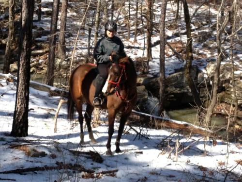 A person in a helmet rides a brown horse through a snowy forest with trees and a stream in the background.