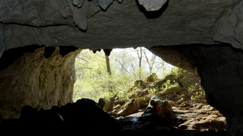 View from inside a cave, showing a bright opening with greenery and rocks outside.