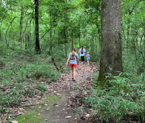 Three people walking on a wooded trail surrounded by lush greenery and tall trees.