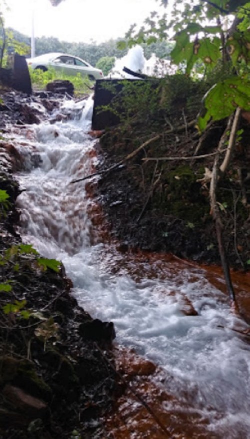 A small, flowing stream with clear water cascading over rocks, surrounded by greenery and a glimpse of a car in the background.