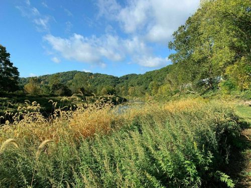 A serene landscape featuring lush greenery, golden grasses, and rolling hills under a blue sky with scattered clouds.