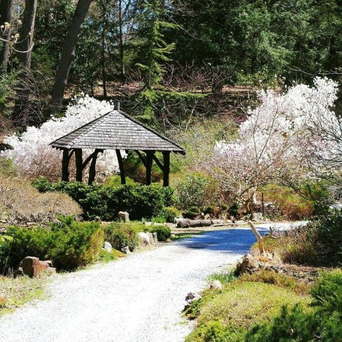 A serene garden scene featuring a gazebo surrounded by blooming trees and a winding gravel path.
