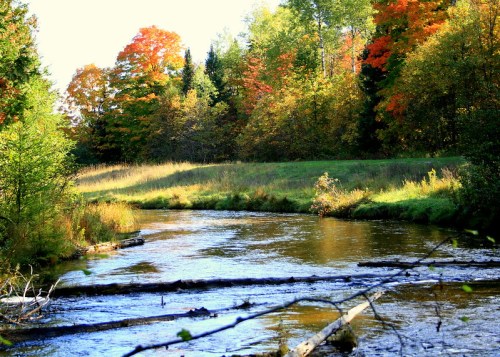 A serene river flows through a colorful forest with autumn foliage and sunlight filtering through the trees.