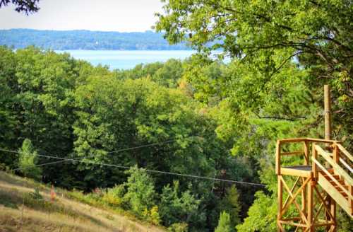 Scenic view of lush green trees overlooking a tranquil lake in the distance. A wooden platform is visible in the foreground.