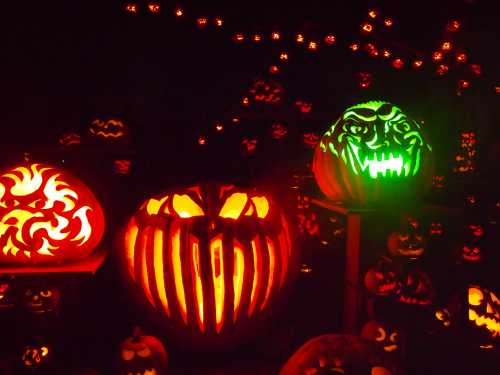 A display of intricately carved pumpkins glowing in orange and green, set against a dark background.