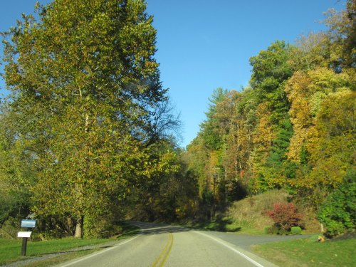 A winding road surrounded by trees with autumn foliage under a clear blue sky.
