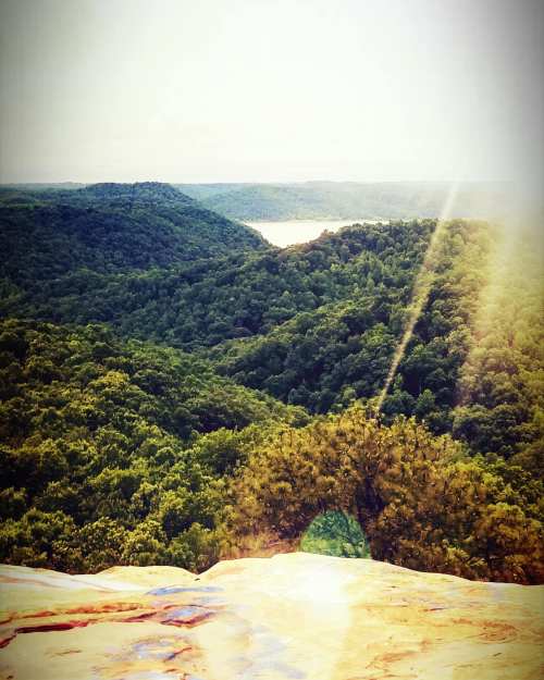 A scenic view of lush green hills and a distant lake under a bright sky, with sunlight streaming through the trees.