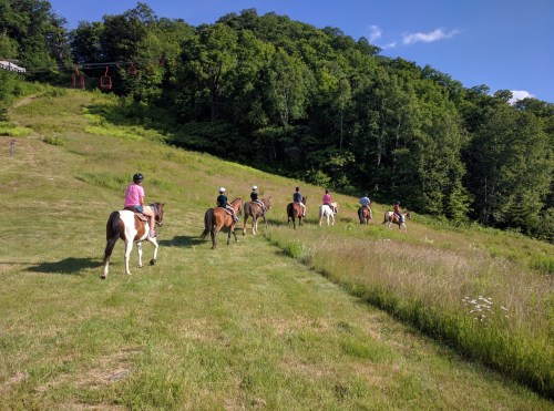 A group of riders on horseback walking up a grassy trail with trees in the background on a sunny day.