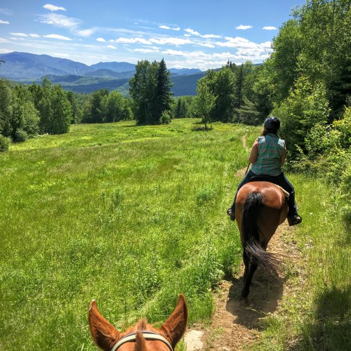 A person riding a horse on a trail, surrounded by lush greenery and mountains under a clear blue sky.