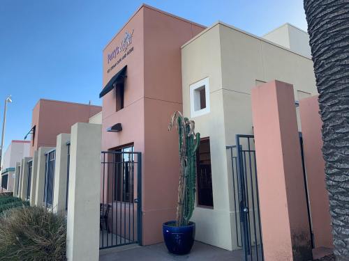 Exterior of a modern building with a sign, featuring a tall cactus in a blue pot and colorful walls.