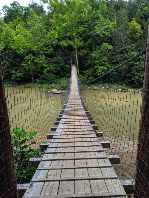A wooden suspension bridge stretches over a calm river, surrounded by lush green trees and rocky banks.