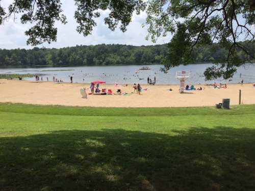 A sandy beach by a lake, with people sunbathing, swimming, and enjoying the outdoors under a clear sky.